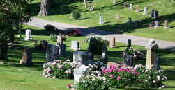 Linn Honeycutt Funeral Homes